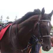 ヒメ日記 2025/11/03 23:52 投稿 ゆうき ソープランド AQUA（アクア）