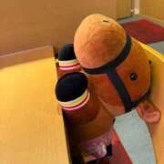 ヒメ日記 2025/11/05 23:48 投稿 ゆうき ソープランド AQUA（アクア）