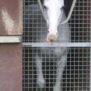 ヒメ日記 2025/11/06 20:42 投稿 ゆうき ソープランド AQUA（アクア）