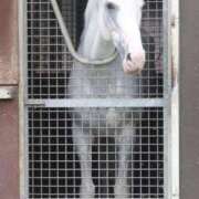 ヒメ日記 2026/01/04 17:38 投稿 ゆうき ソープランド AQUA（アクア）