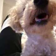 ヒメ日記 2026/01/19 20:20 投稿 ゆうき ソープランド AQUA（アクア）