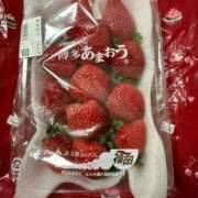 ヒメ日記 2026/01/25 12:19 投稿 ゆうき ソープランド AQUA（アクア）