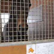 ヒメ日記 2026/01/26 00:18 投稿 ゆうき ソープランド AQUA（アクア）