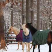 ヒメ日記 2026/01/26 00:38 投稿 ゆうき ソープランド AQUA（アクア）