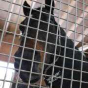 ヒメ日記 2026/01/27 06:58 投稿 ゆうき ソープランド AQUA（アクア）