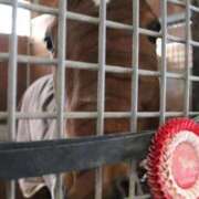 ヒメ日記 2026/01/28 01:48 投稿 ゆうき ソープランド AQUA（アクア）