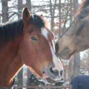 ヒメ日記 2026/02/10 23:18 投稿 ゆうき ソープランド AQUA（アクア）