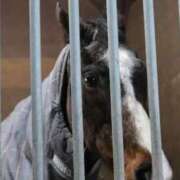 ヒメ日記 2026/02/18 22:49 投稿 ゆうき ソープランド AQUA（アクア）