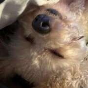 ゆうき 🐶 ソープランド AQUA（アクア）