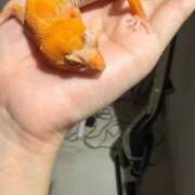 ヒメ日記 2026/02/27 00:03 投稿 ゆうき ソープランド AQUA（アクア）