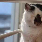 ヒメ日記 2026/03/02 00:08 投稿 ゆうき ソープランド AQUA（アクア）