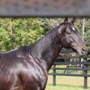 ヒメ日記 2026/03/06 23:33 投稿 ゆうき ソープランド AQUA（アクア）