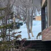 ヒメ日記 2026/03/14 18:51 投稿 ゆうき ソープランド AQUA（アクア）