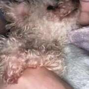 ヒメ日記 2026/04/09 23:04 投稿 ゆうき ソープランド AQUA（アクア）