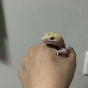 ヒメ日記 2026/04/10 13:18 投稿 ゆうき ソープランド AQUA（アクア）