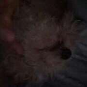 ヒメ日記 2026/04/11 23:13 投稿 ゆうき ソープランド AQUA（アクア）