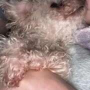 ヒメ日記 2026/04/13 23:14 投稿 ゆうき ソープランド AQUA（アクア）