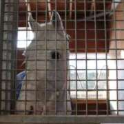 ヒメ日記 2026/04/16 21:28 投稿 ゆうき ソープランド AQUA（アクア）