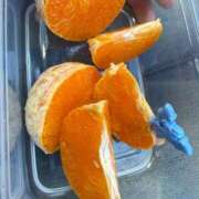 ヒメ日記 2026/04/26 23:28 投稿 ゆうき ソープランド AQUA（アクア）