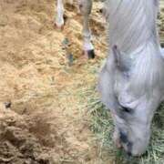 ヒメ日記 2026/08/12 23:41 投稿 ゆうき ソープランド AQUA（アクア）