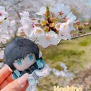 ヒメ日記 2026/04/02 16:16 投稿 星野【人妻コース】 久留米デリヘル358