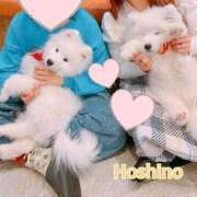 ヒメ日記 2025/03/15 13:03 投稿 星野【人妻コース】 CLUB CANDY（鳥栖店）