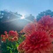 ヒメ日記 2025/12/12 08:33 投稿 ちひろちゃん もう！本物じゃなきゃ満足出来ない～アンアン吠える女子大生～