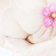 ヒメ日記 2025/07/15 14:01 投稿 水森よしみ こあくまな熟女たち 本厚木店(KOAKUMAグループ)