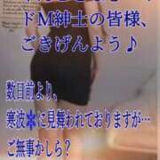 ヒメ日記 2026/02/09 02:34 投稿 愛沢 ROYAL　GRACE