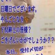 ヒメ日記 2026/06/14 11:16 投稿 愛沢 ROYAL　GRACE