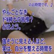 ヒメ日記 2026/07/20 07:02 投稿 愛沢 ROYAL　GRACE