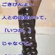 ヒメ日記 2026/07/24 19:50 投稿 愛沢 ROYAL　GRACE