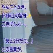 ヒメ日記 2026/07/24 20:25 投稿 愛沢 ROYAL　GRACE