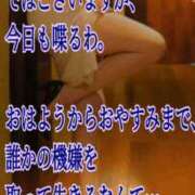 ヒメ日記 2026/08/27 21:45 投稿 愛沢 ROYAL　GRACE