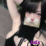 ヒメ日記 2025/04/22 12:30 投稿 らら CASTLE(キャッスル)