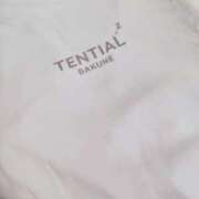 ヒメ日記 2026/04/12 02:25 投稿 らんか バイオレンス