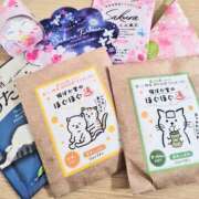 ヒメ日記 2026/04/15 10:05 投稿 らんか バイオレンス