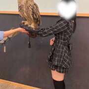 玉木　しおり 実は？ つくば風俗エキスプレス   ヌキ坂46