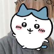 ヒメ日記 2025/03/09 12:45 投稿 ともか ぷるるん小町日本橋店