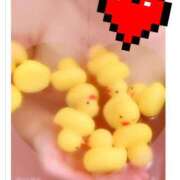 ヒメ日記 2025/04/18 23:46 投稿 ともか ぷるるん小町日本橋店