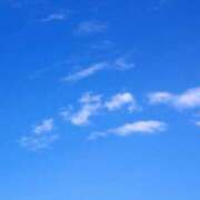 ヒメ日記 2025/04/19 15:15 投稿 ともか ぷるるん小町日本橋店