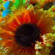 ヒメ日記 2025/07/12 15:00 投稿 ともか ぷるるん小町日本橋店