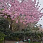 ヒメ日記 2026/04/01 06:42 投稿 めぐみ あげまん 梅田店