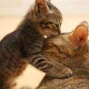 ヒメ日記 2025/07/22 14:39 投稿 のの あげまん 梅田店