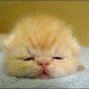 ヒメ日記 2025/07/27 11:49 投稿 のの あげまん 梅田店