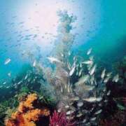 ヒメ日記 2025/07/29 14:31 投稿 のの あげまん 梅田店