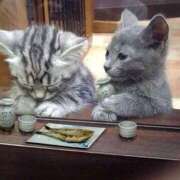 ヒメ日記 2025/08/20 14:44 投稿 のの あげまん 梅田店