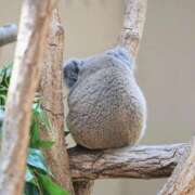 ヒメ日記 2025/08/27 18:20 投稿 のの あげまん 梅田店