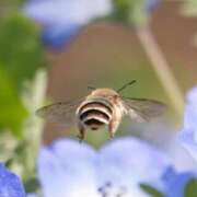 ヒメ日記 2025/08/31 11:51 投稿 のの あげまん 梅田店