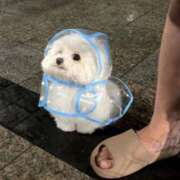 ヒメ日記 2025/12/01 14:46 投稿 のの あげまん 梅田店